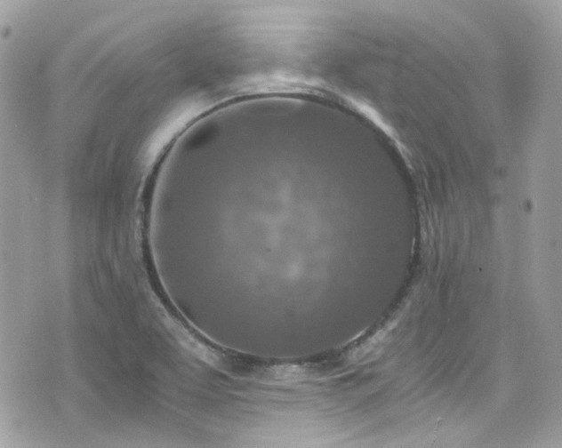 X0000076311463200609291048