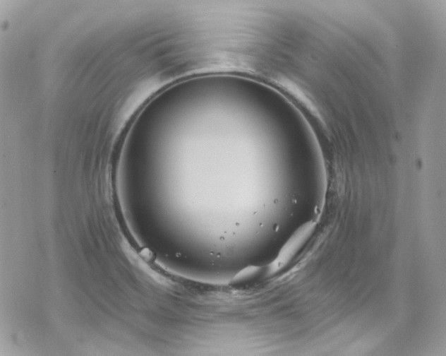 X0000076311468200609291048