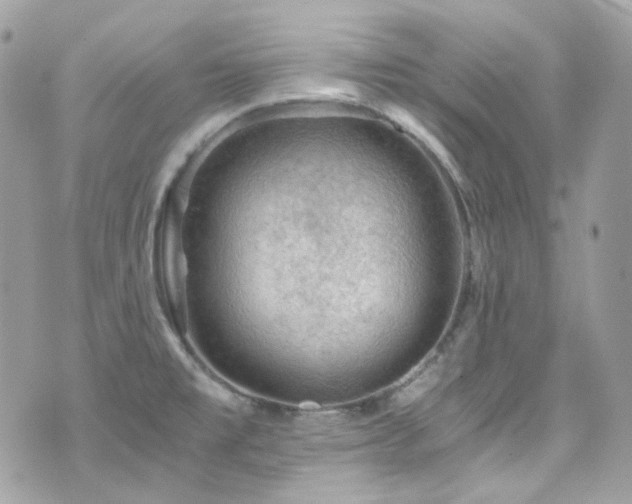 X0000076311477200609291048