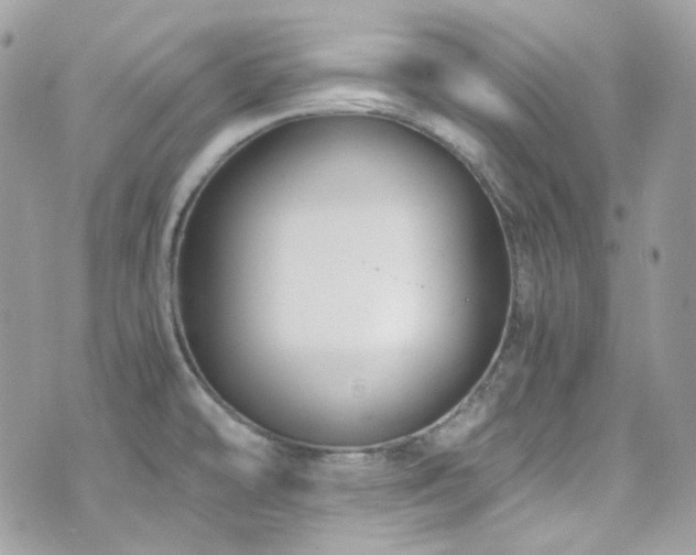 X0000076311478200609291048