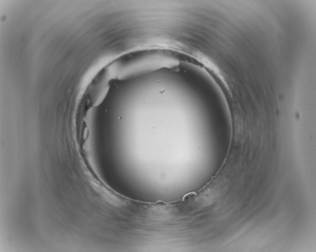 X0000076311480200609291048