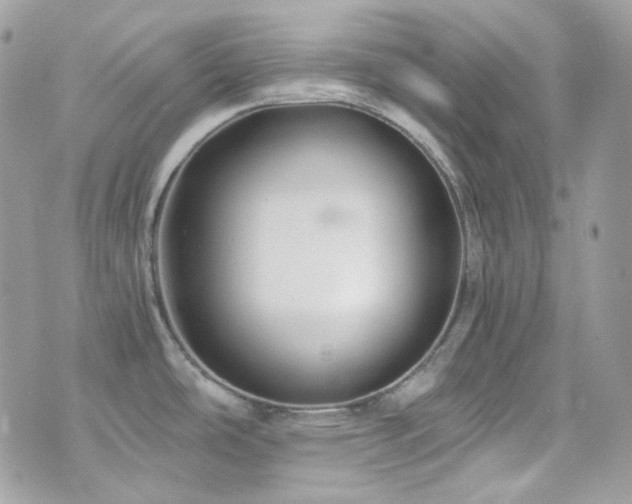 X0000076311486200609291048