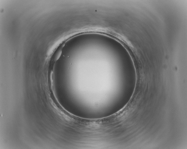 X0000076311504200609291048