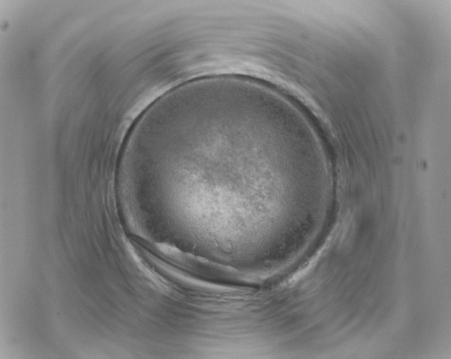 X0000076311513200609291048