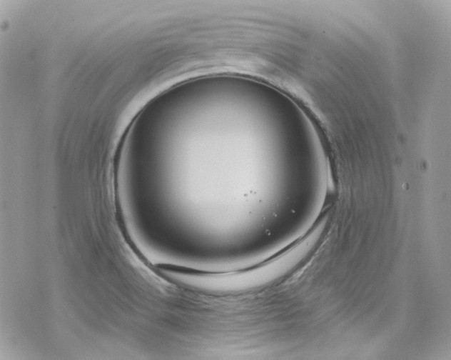 X0000076311516200609291048