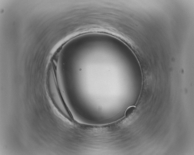 X0000076311518200609291048