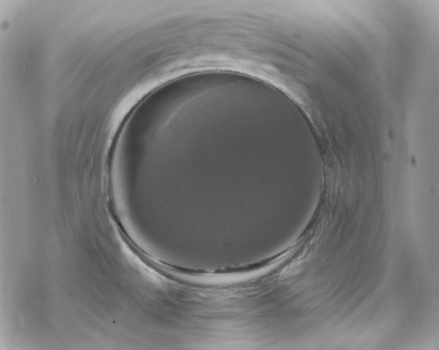 X0000076311527200609291048