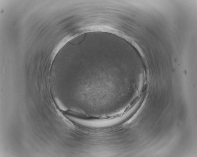 X0000076311529200609291048