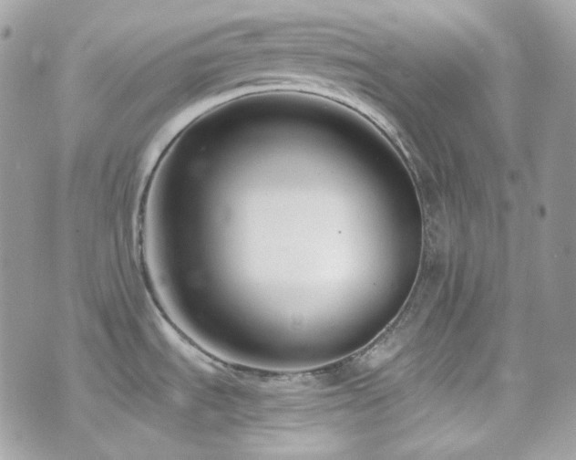 X0000076311535200609291048