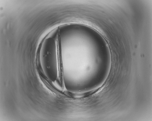 X0000076311536200609291048