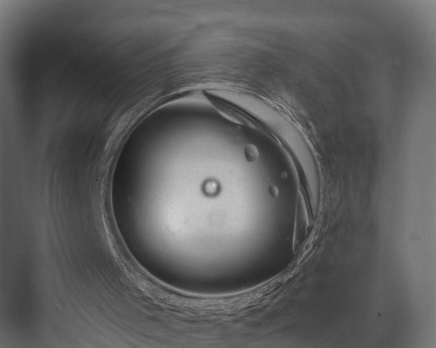 X0000076310001200610061342