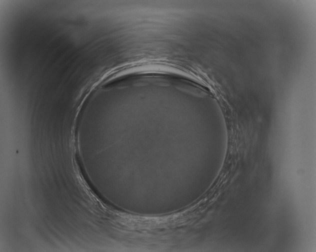 X0000076310002200610061342