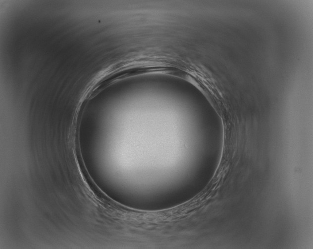 X0000076310003200610061342