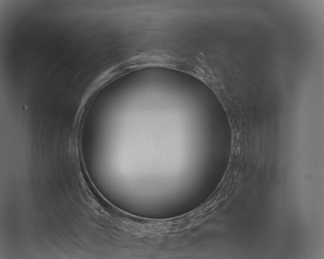 X0000076310004200610061342