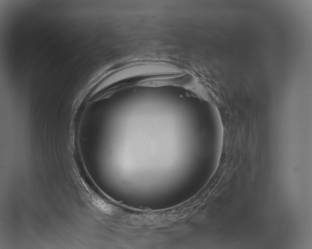 X0000076310005200610061342