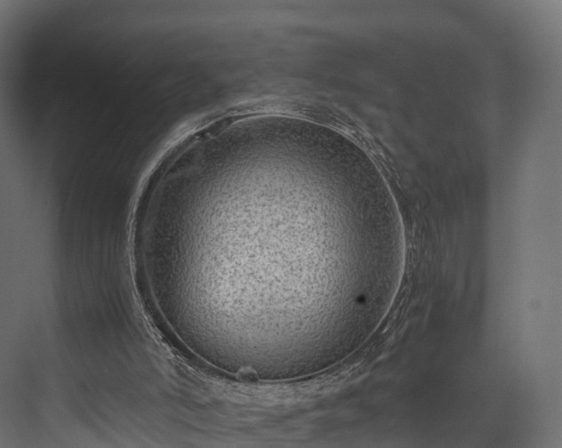 X0000076310006200610061342