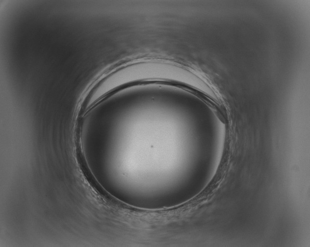 X0000076310007200610061342