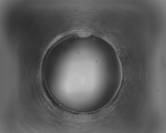 X0000076310008200610061342