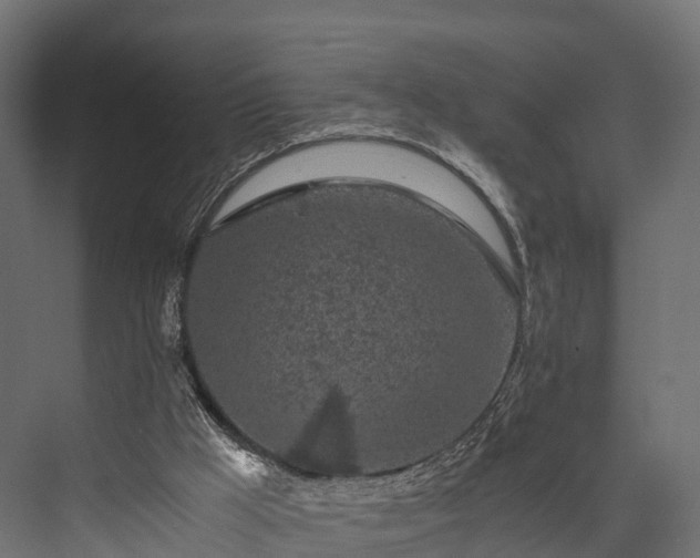 X0000076310009200610061342