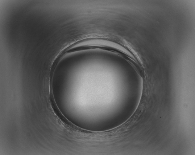 X0000076310011200610061342