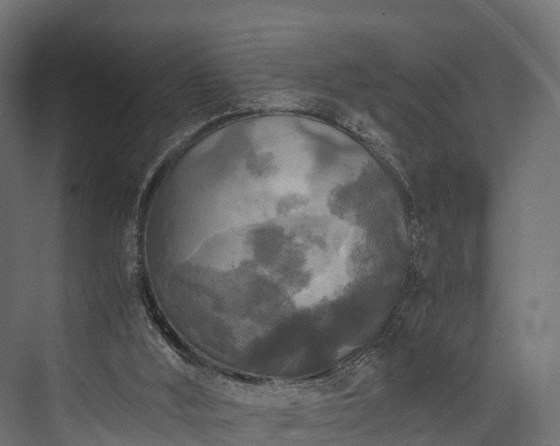 X0000076310012200610061342