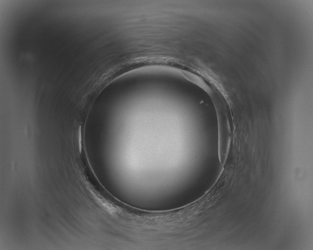 X0000076310013200610061342