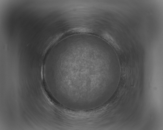 X0000076310014200610061342