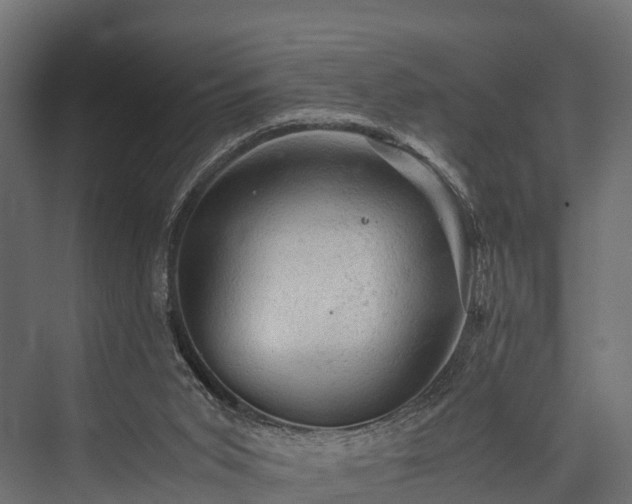 X0000076310015200610061342