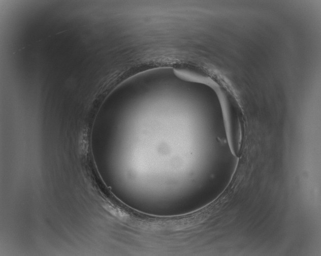 X0000076310017200610061342