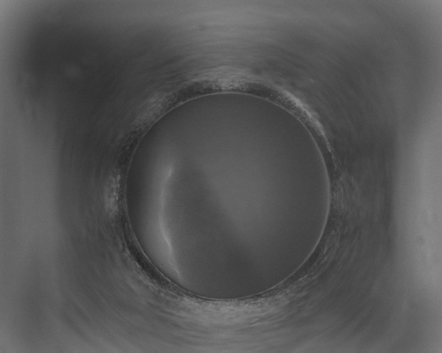 X0000076310018200610061342