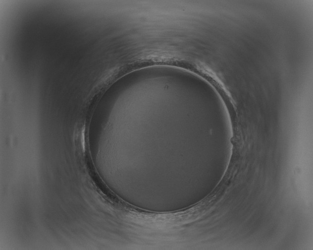 X0000076310019200610061342