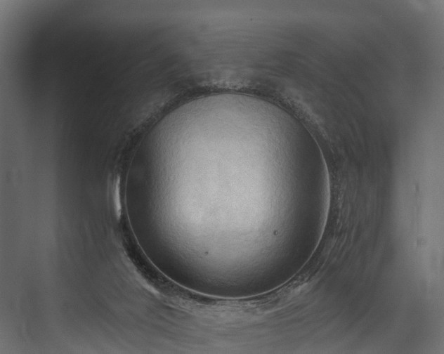 X0000076310020200610061342