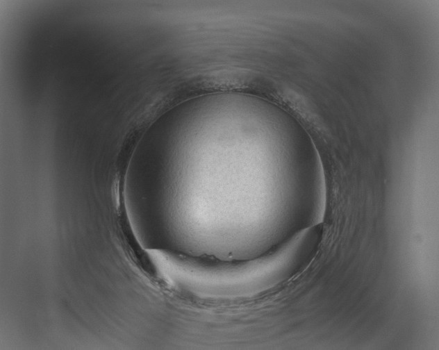 X0000076310021200610061342