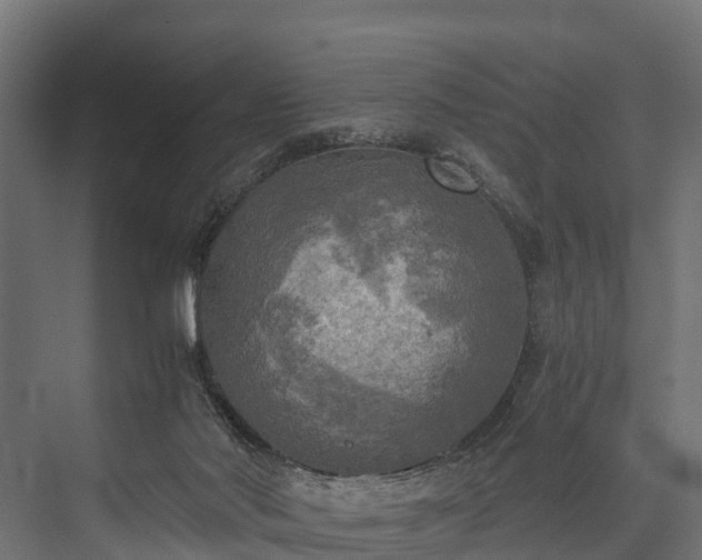 X0000076310022200610061342