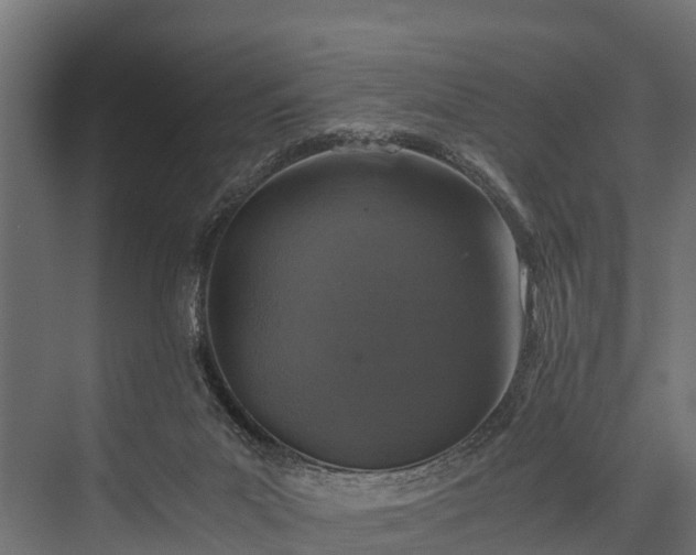 X0000076310023200610061342