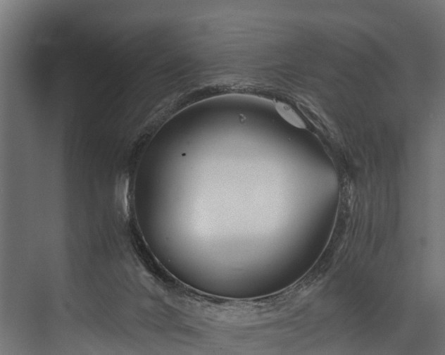 X0000076310024200610061342