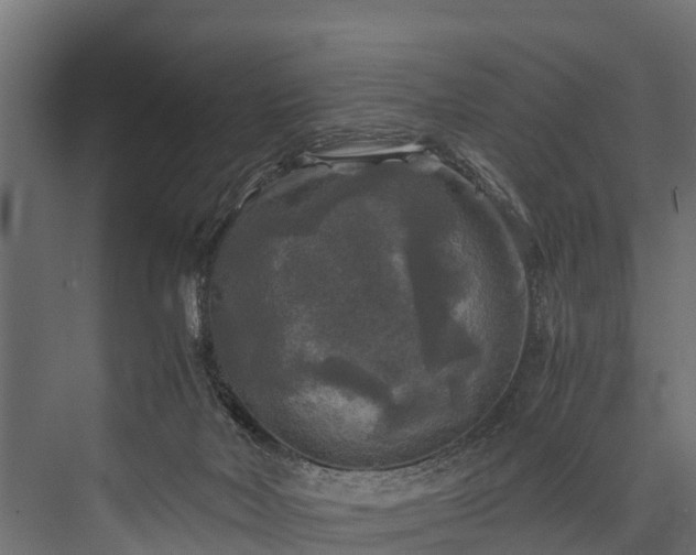 X0000076310026200610061342