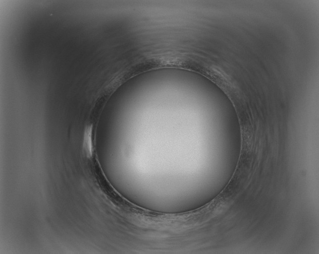 X0000076310028200610061342