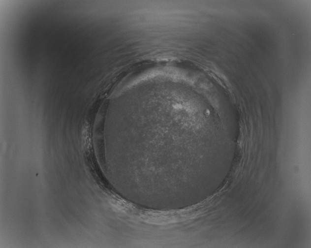 X0000076310029200610061342