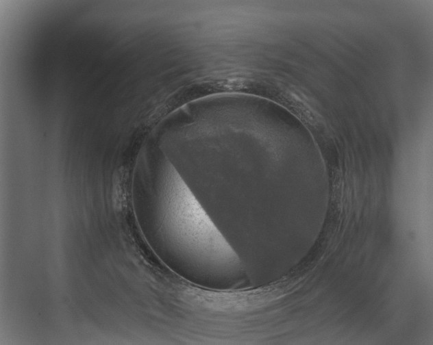 X0000076310030200610061342