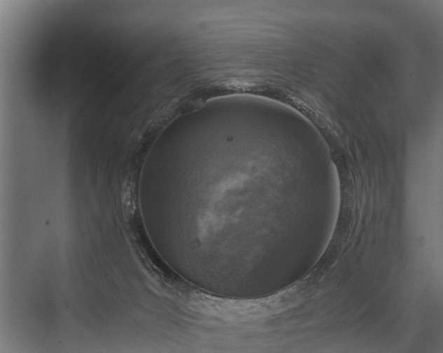 X0000076310031200610061342