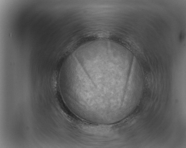 X0000076310032200610061342