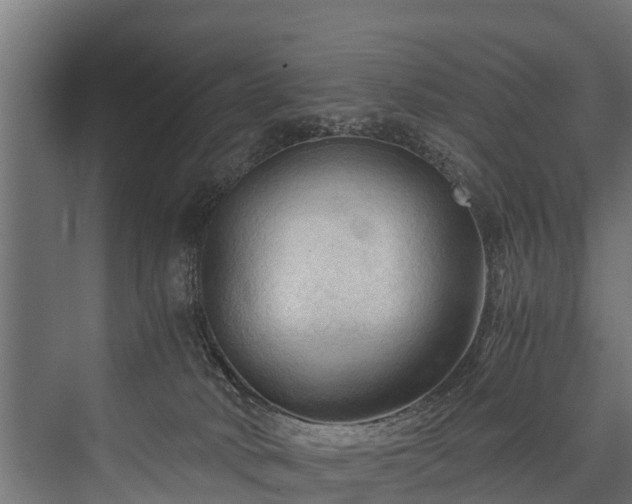 X0000076310034200610061341