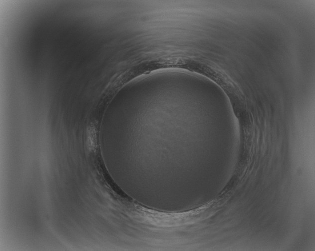 X0000076310035200610061341