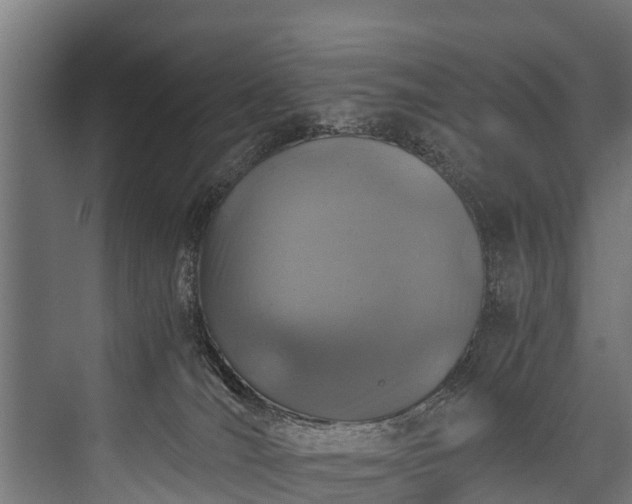 X0000076310036200610061341