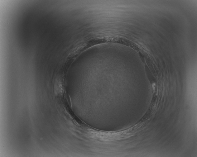 X0000076310039200610061341