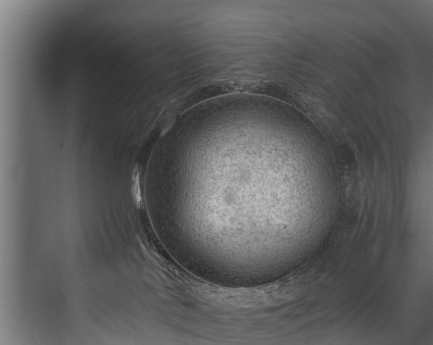 X0000076310042200610061341