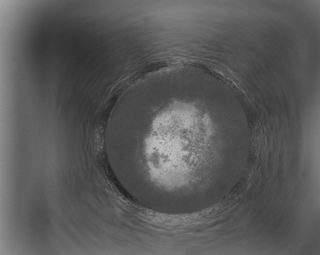 X0000076310043200610061341