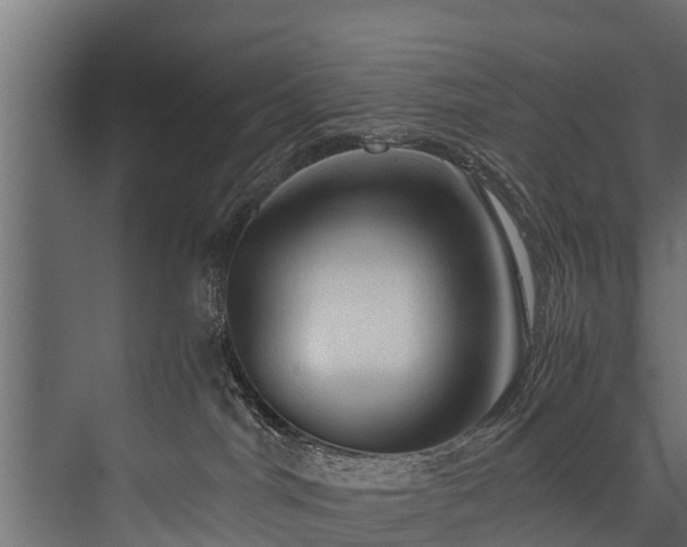 X0000076310044200610061341