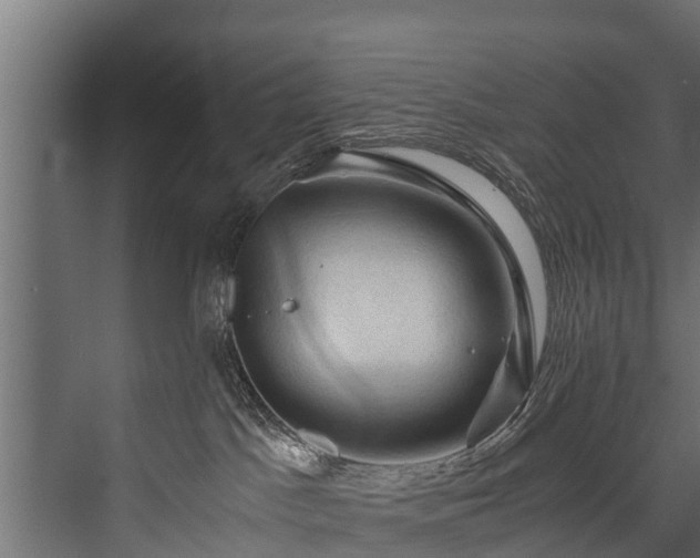 X0000076310045200610061341